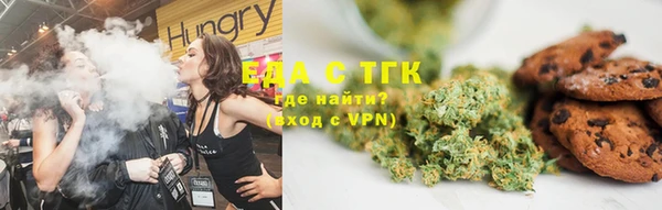 ECSTASY Алзамай